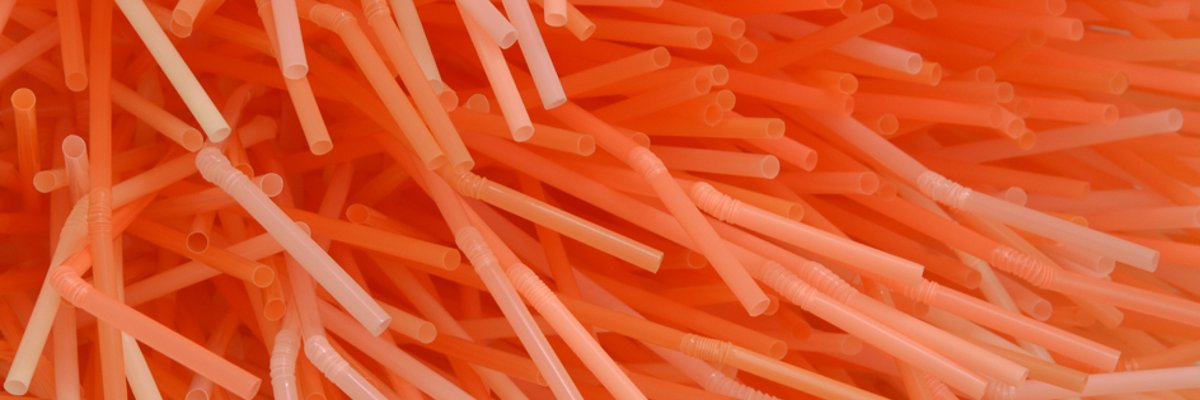 Ein Objekt von Ute Bartel mit dem Titel Anthopleura Plastica.