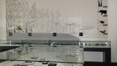 Ausstellungsraum zu den Rotter Fossilien im Stadtmuseum