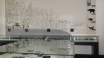 Ausstellungsraum zu den Rotter Fossilien im Stadtmuseum