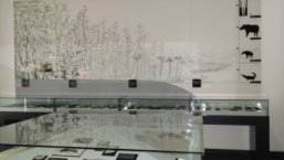 Ausstellungsraum zu den Rotter Fossilien im Stadtmuseum Ausstellungsraum zu den Rotter Fossilien im Stadtmuseum