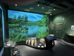 Ausstellungsraum zu den Rotter Fossilien im Stadtmuseum