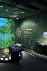 Ausstellungsraum zu den Rotter Fossilien im Stadtmuseum