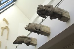 Das Bild zeigt drei Wasserspeier der Kirche St. Servatius, die im Museum zu sehen sind.