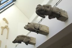 Wasserspeier Das Bild zeigt drei Wasserspeier der Kirche St. Servatius, die im Museum zu sehen sind.